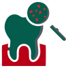 Detartraj Dentar DOAR 95 LEI Stomatologie Iasi Giovinesse Dental - Placa Bacteriana